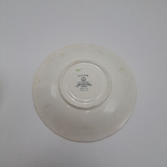 Delphine Wild Rose Teacup and Saucer - Picture 13 of 14